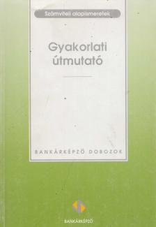 Sághi Márta (szerk.) - Számviteli alapismeretek - Gyakorlati útmutató [antikvár]