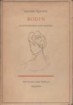 Helene Nostitz - Rodin in Gesprächen und Briefen [antikvár]