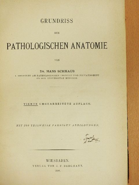 Dr. Hans Schmaus - Grundriss der Pathologischen Anatomie [antikvár]