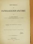 Dr. Hans Schmaus - Grundriss der Pathologischen Anatomie [antikvár]