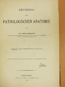 Dr. Hans Schmaus - Grundriss der Pathologischen Anatomie [antikvár]