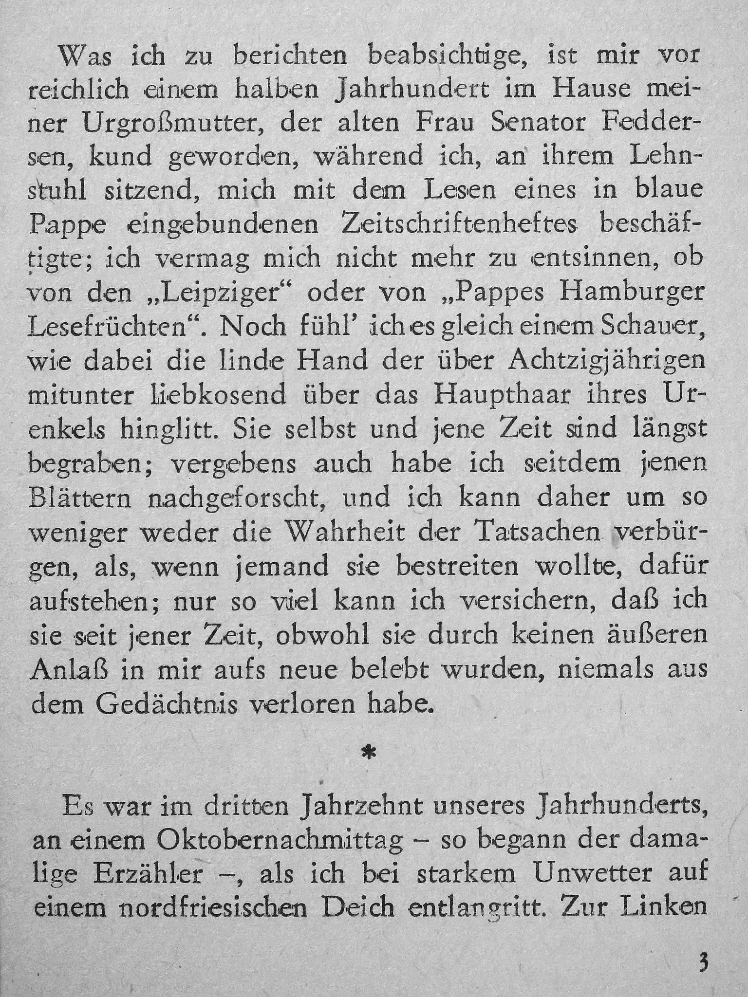 Theodor Storm - Der Schimmelreiter II.  [antikvár]