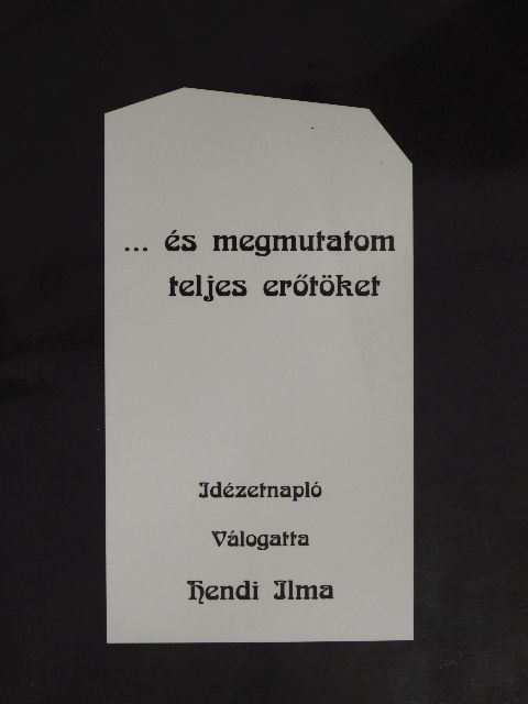 ... és megmutatom teljes erőtöket [antikvár]