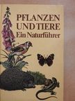 Bernd Scheiba - Pflanzen und Tiere [antikvár]