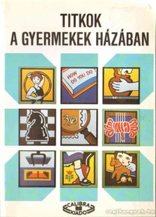 Bagicsné Szelestey Zsuzsa - Titok a gyermekek házában [antikvár]