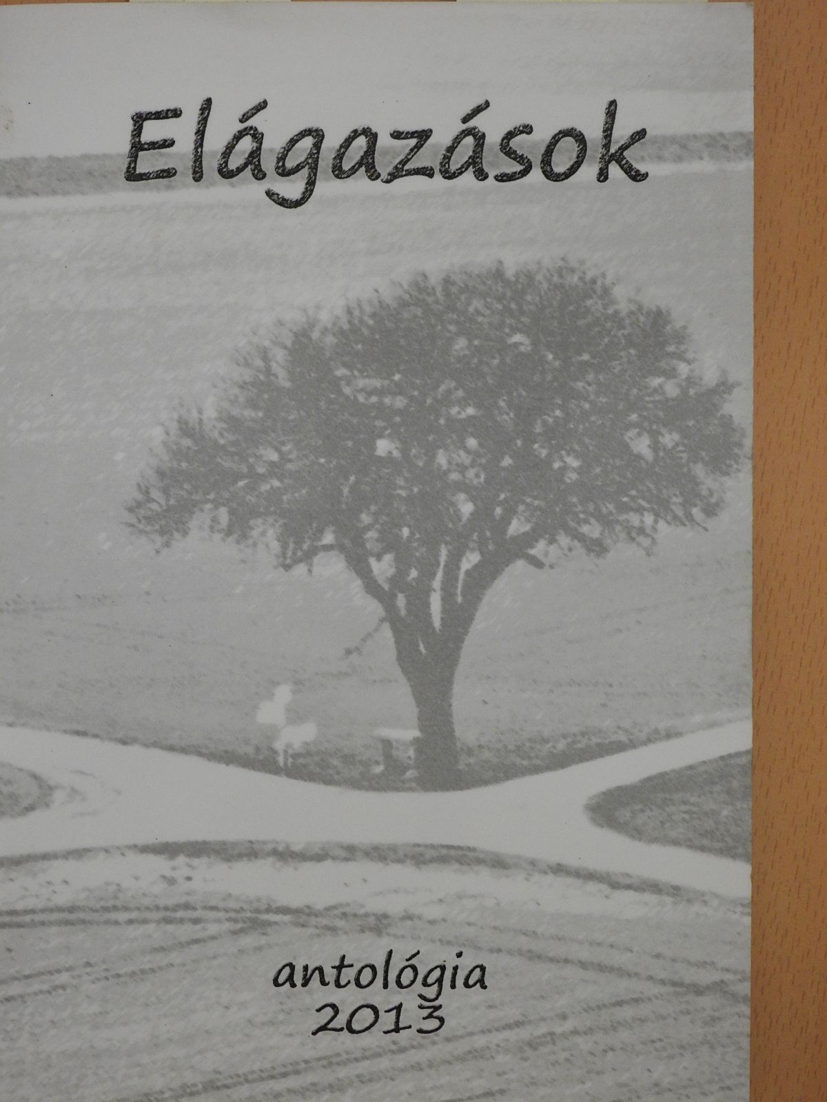 Csillik Renáta - Elágazások (többszörösen dedikált példány) [antikvár]