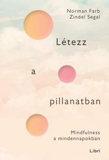 Norman Farb-Zindel Segal - Létezz a pillanatban