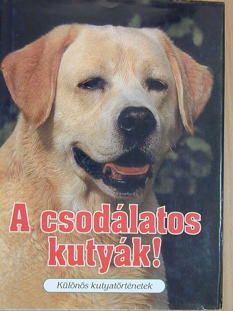 Ady Endre - A csodálatos kutyák! [antikvár]