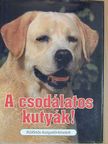 Ady Endre - A csodálatos kutyák! [antikvár]