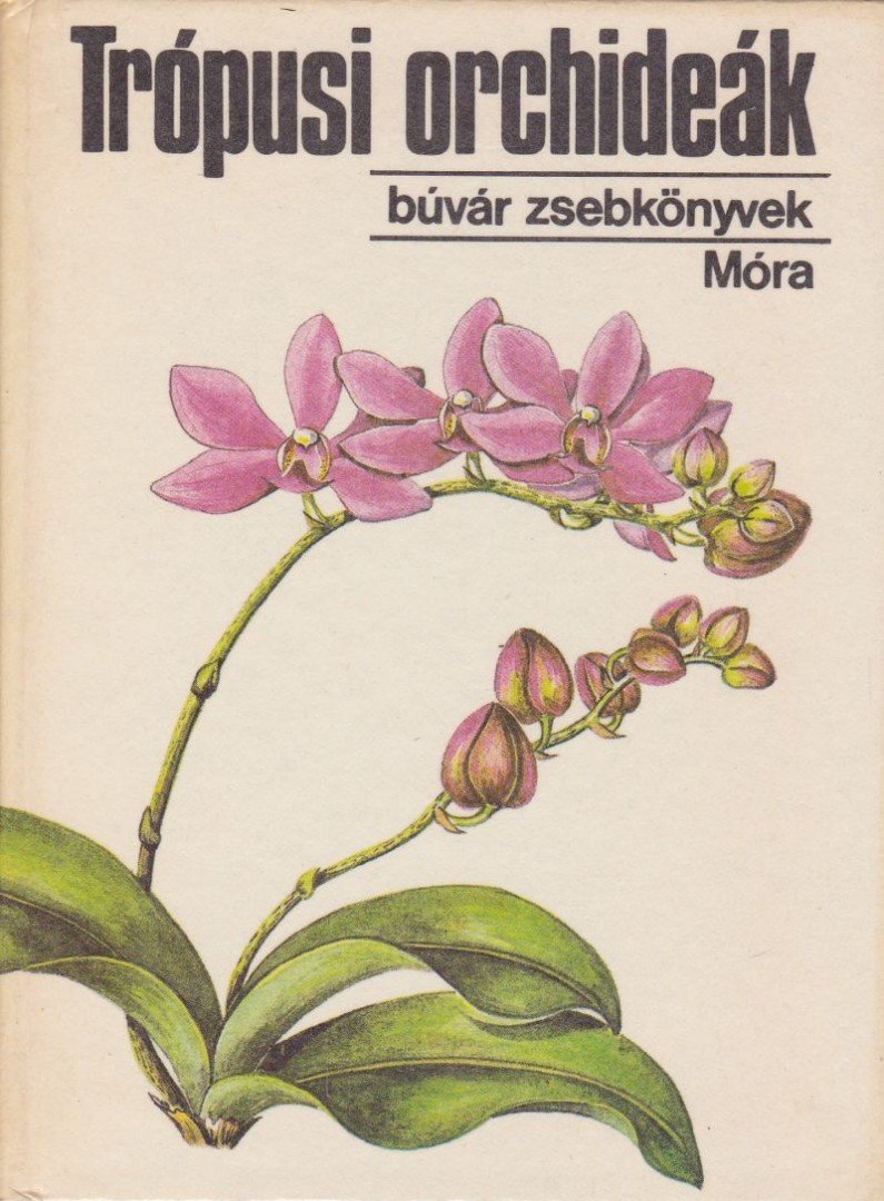 SULYOK MÁRIA - Trópusi orchideák [antikvár]