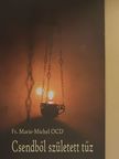 Fr. Marie-Michel OCD - Csendből született tűz [antikvár]