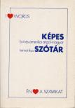Szendro Borbála - Képes brit és amerikai angol-magyar tematikus szótár [antikvár]