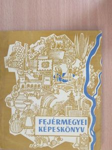 Fejérmegyei Képeskönyv [antikvár]