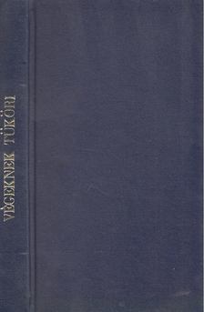 Lisztóczky László - Végeknek tüköri [antikvár]