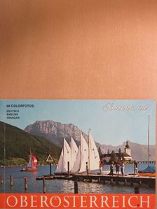 Souvenir aus Oberösterreich [antikvár]