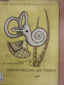 Dr. Ludwig Spannhof - Sinnesorgane bei Tieren [antikvár]