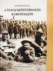 Kosztyó Gyula - A tanácsköztársaság Kárpátalján [antikvár]