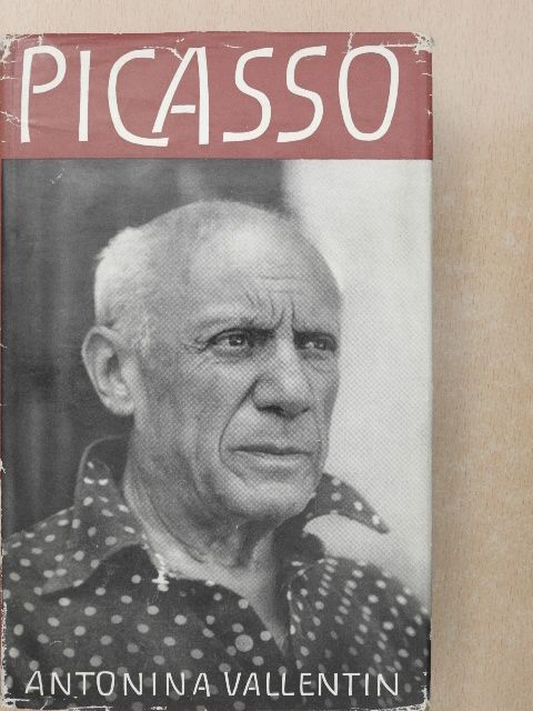 Antonina Vallentin - Pablo Picasso [antikvár]