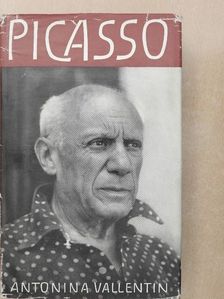 Antonina Vallentin - Pablo Picasso [antikvár]