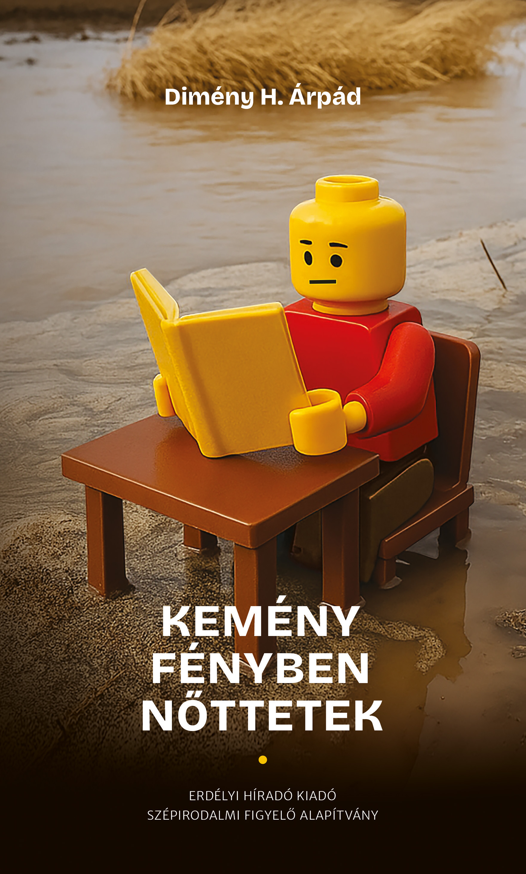 Dimény H. Árpád - Kemény fényben nőttetek
