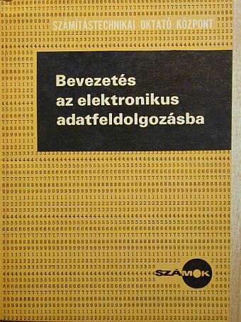 Bevezetés az elektronikus adatfeldolgozásba [antikvár]