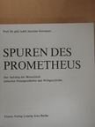 Joachim Hermann - Spuren des Prometheus [antikvár]