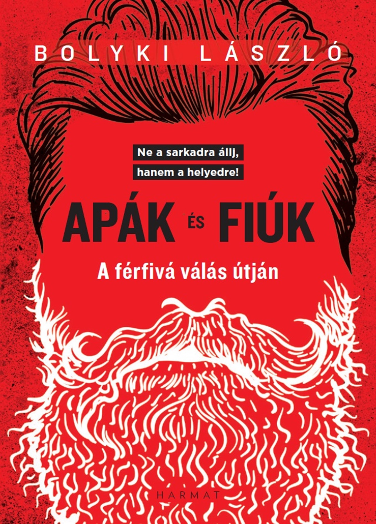Bolyki László - Apák és fiúk