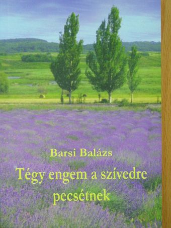 Barsi Balázs - Tégy engem a szívedre pecsétnek [antikvár]