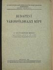 Dr. Haltenberger Mihály - Budapest városföldrajzi képe [antikvár]