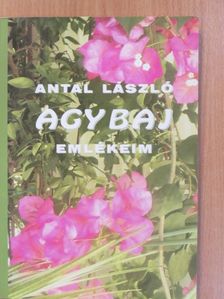 Antal László - Agybaj (dedikált példány) [antikvár]
