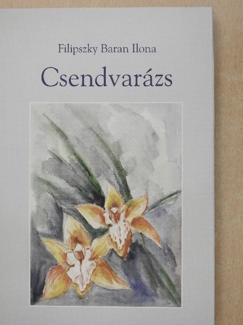Filipszky Baran Ilona - Csendvarázs [antikvár]