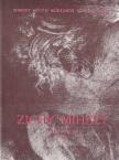 BÉNYI LÁSZLÓ - Zichy Mihály emlékmúzeum, Zala [antikvár]