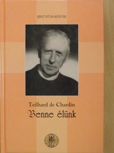 Szabó Ferenc SJ - Benne élünk [antikvár]