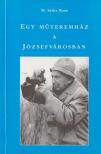 M. Szücs Ilona - Egy műteremház a Józsefvárosban [antikvár]