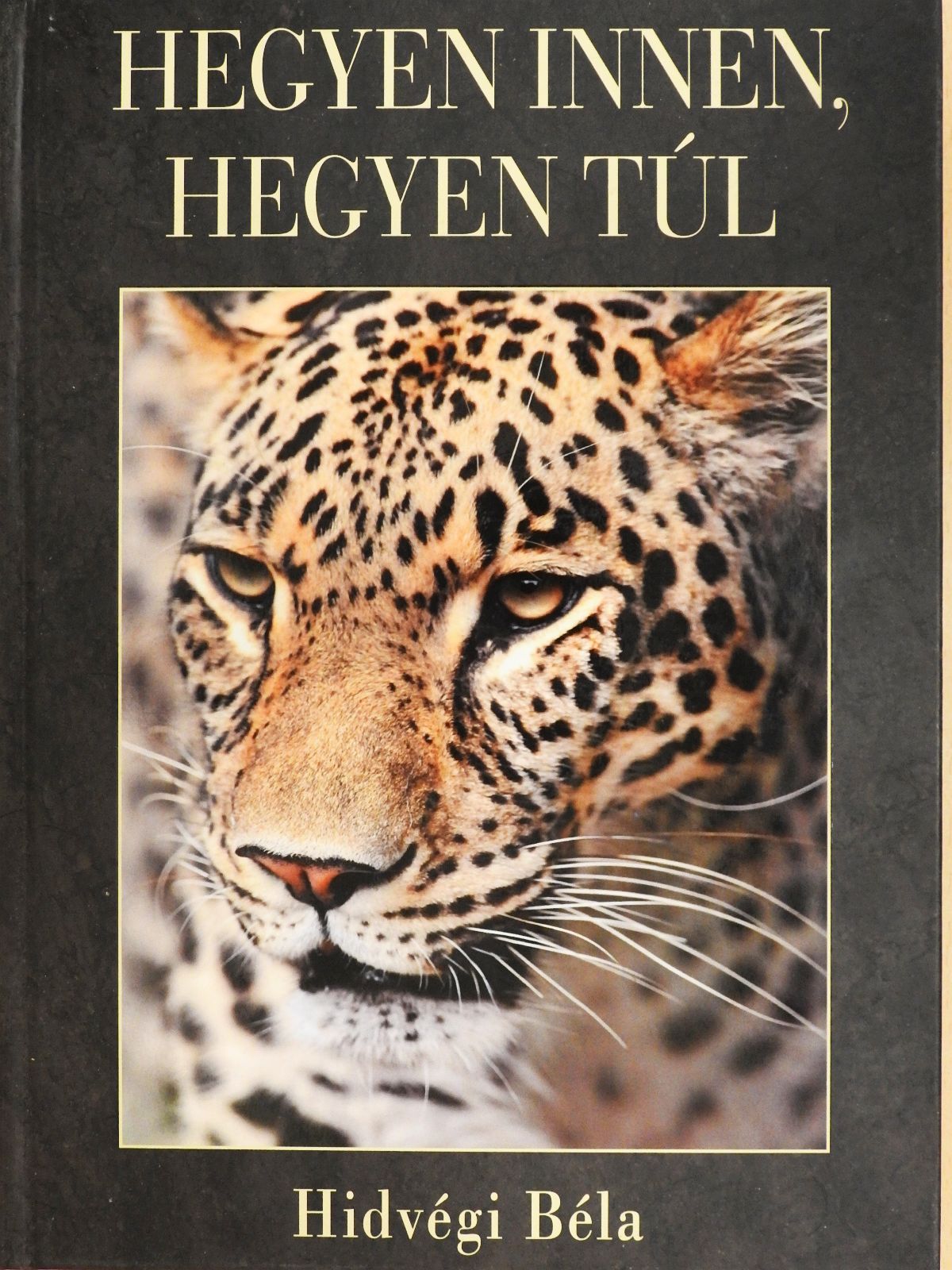 Hidvégi Béla - Hegyen innen, hegyen túl (dedikált példány) [antikvár]