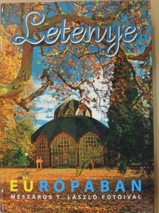 Tóth Oszkár - Letenye Európában [antikvár]