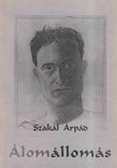 Szakál Árpád - Álomállomás [antikvár]