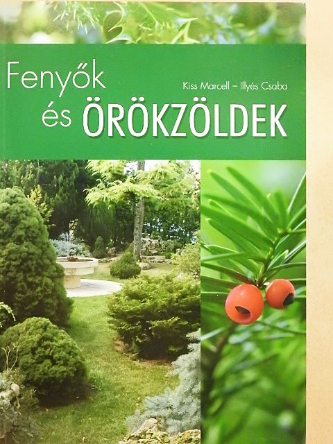 Kiss Marcell - Fenyők és örökzöldek [antikvár]