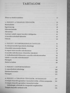 Irvin D. Yalom - A csoport-pszichoterápia elmélete és gyakorlata [antikvár]