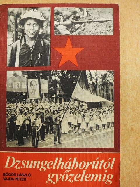 Bögös László - Dzsungelháborútól győzelemig [antikvár]