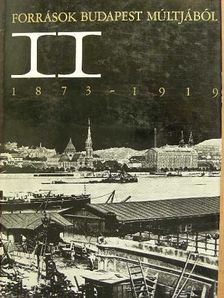 Források Budapest múltjából II.  [antikvár]