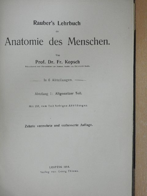 Prof. Fr. Kopsch - Rauber's Lehrbuch der Anatomie des Menschen Abteilung 1. (töredék) [antikvár]
