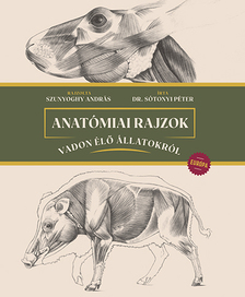Szunyoghy András - Anatómiai rajzok vadon élő állatokról - Európa