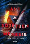 Jennifer Hillier - Ami a sötétben megesik [antikvár]