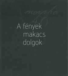 A fények makacs dolgok [antikvár]