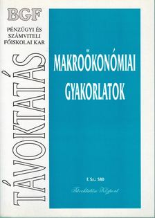Bódi Erzsébet Dr. - Makroökonómiai gyakorlatok [antikvár]