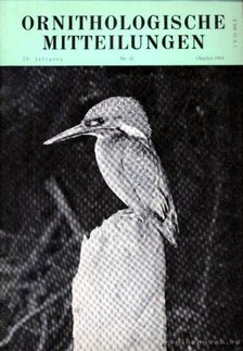 Bruns, Herbert Dr. - Ornithologische Mitteilungen [antikvár]