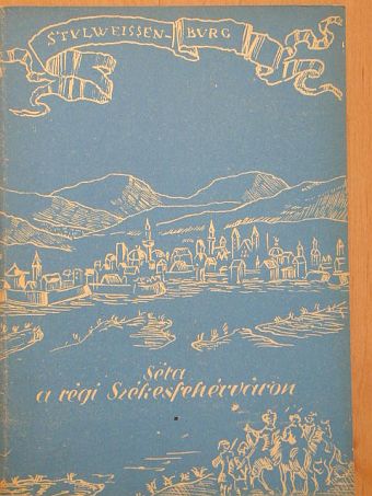 Fitz Jenő - Séta a régi Székesfehérváron [antikvár]