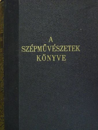 Bárányné Oberschall Magda - A szépművészetek könyve [antikvár]