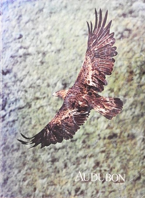 Ann Zwinger - Audubon July 1977 [antikvár]